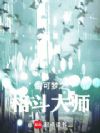 宝可梦之格斗大师