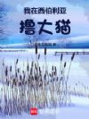 我在西伯利亚撸大猫