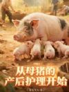 1983:从母猪的产后护理开始